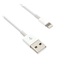Kábel C-TECH USB 2.0 Nabíjací a synchronizačný kábel Lightning (IP5 a vyšší), 2 m, biely