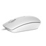 DELL Optical Mouse - MS116 - White