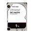 Western Digital Ultrastar® HDD 1TB (HUS722T1TALA604) DC HA210 3.5in 26.1MM 128MB 7200RPM SATA 512N SE (GOLD WD1005FBYZ)