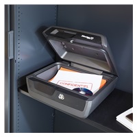 Master Lock Bezpečnostní kufr  odolný ohni a vodě LCFW30100