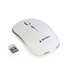 Myš GEMBIRD MUSW-4B-01, biela, bezdrôtová, USB nano prijímač