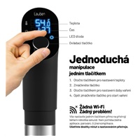 Lauben Sous Vide Stick SV01