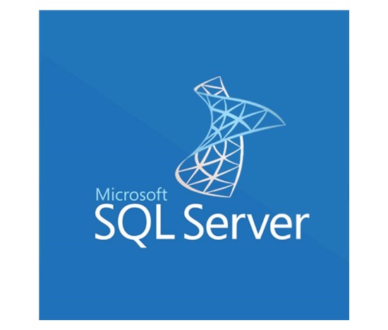 SQLSvrStd 2019 SNGL OLP NL Acdmc
