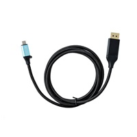 káblový adaptér iTec USB-C - DisplayPort (4K/60 Hz) - 200 cm