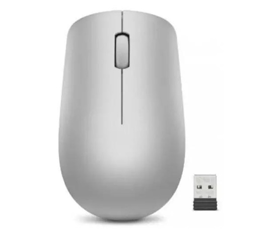 Lenovo 530 Wireless Mouse (Platinum Grey)