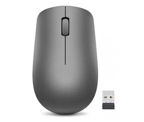 Lenovo 530 Wireless Mouse (Graphite)