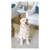 Bezpečnostná kamera REOLINK E1 Pro 1440P, 2.4 / 5 GHz