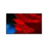 SHARP/NEC MULTISYNC MA551 55" MA-Series Large Format Display, UHD, WCG, 500cd/m2, E-LED backlight, 24/7