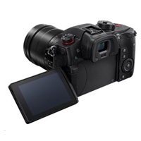 Panasonic DC-GH5 II LEICA DG VARIO-ELMAR 12-60mm F2.8 -4.0 ASPH./POWER O.I.S.