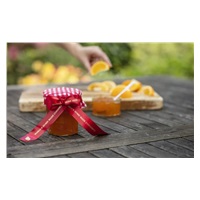 BROTHER TZE-RW54 - 24 mm široká kazeta s TZ páskou, 4 m TEXTILNÁ páska - na výrobu darčekov - NEŠTÍRIVÁ - ČERVENÁ PÁSKA, ZLATÝ POTISK