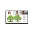 LG 55" signage 55VL5PJ   videowall