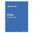 Visio Pro 2021 SK