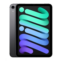 APPLE iPad mini (6. gen.) Wi-Fi + Cellular 256 GB - Vesmírne sivá