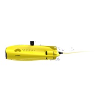 Chasing Gladius Mini S 100m