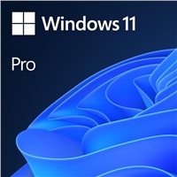 Windows 11 Pro 64Bit CZ OEM