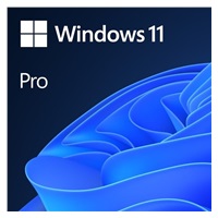 Windows 11 Pro 64Bit CZ OEM