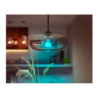 PHILIPS Hue White and Color Ambiance 15W 1600 E27