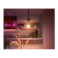 PHILIPS Hue White and Color Ambiance 15W 1600 E27