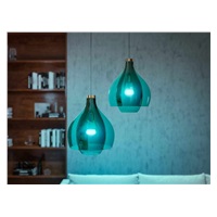 Philips Hue White and Color Ambiance 9W 1100 E27 starter kit