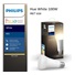 PHILIPS Hue White žárovka 15.5W E27 A67 DIM