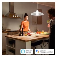 PHILIPS Hue White žárovka 15.5W E27 A67 DIM