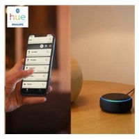 PHILIPS Hue White žárovka 15.5W E27 A67 DIM