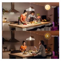 PHILIPS Hue White žárovka 15.5W E27 A67 DIM