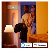 PHILIPS Ensis Svítidlo závěsné, Hue White and color ambiance, 24V, 2x39W integr.LED, Černá