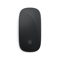 Apple Magic Mouse - Black Multi-Touch Surface
