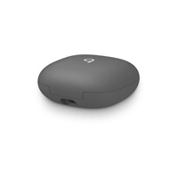 Beats Fit Pro True Wireless Earbuds - Sage Grey