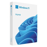Windows Home 11 64-bit Eng USB