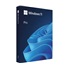 Windows Pro 11 64-bit Eng USB