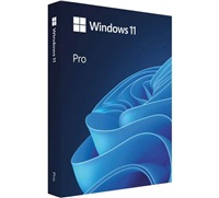 Windows Pro 11 64-bit Slovak USB