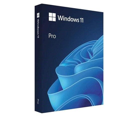 Windows Pro 11 64-bitový český USB