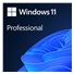 Windows Pro 11 64-BIT ESD