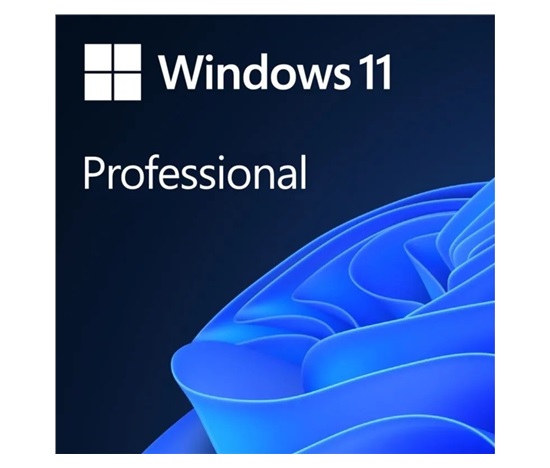 Windows Pro 11 64-BIT ESD