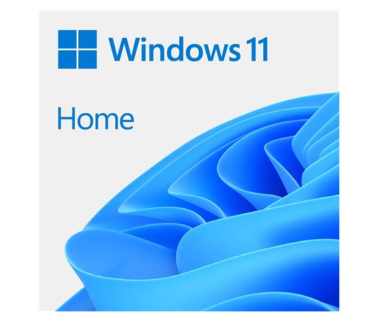 Windows Home 11 64-BIT ESD