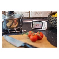 BAZAR - TrueLife NannyCam H32 - digitální video chůvička - Po opravě (Komplet)