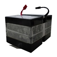 APC Replacement Battery Cartridge #208, pro SMV2000CAI