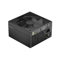 FRACTAL DESIGN zdroj Ion 850W GOLD, modular, 80+ Gold