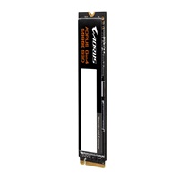GIGABYTE SSD 500GB AORUS Gen4 5000E SSD, NVMe