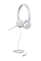 LENOVO 110 Stereo USB Headset