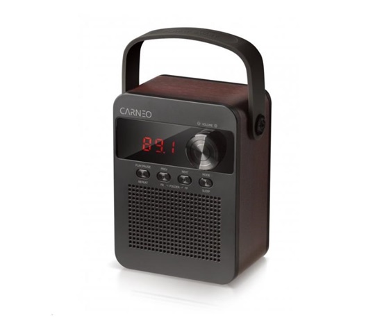 CARNEO F90 FM rádio, bluetooth reproduktor, black/wood