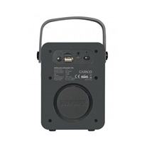 CARNEO F90 FM rádio, bluetooth reproduktor, black/wood