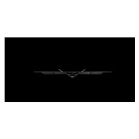 ASUS LCD 47.5" PG48UQ 3840x2160 ROG Swift OLED GAMING 4K, OLED, 450cs, 138Hz, 0.1ms, repro 10W, HDMI DP USB vesa 30x30