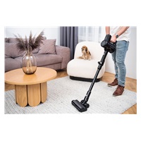 Lauben Stick Vacuum 2in1 Pet Plus 400BC