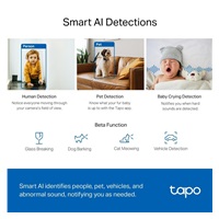 TP-Link Tapo C220 domácí-indoor kamera, (4MP, 2K QHD 1440p, IR 9m, WiFi, micro SD card)