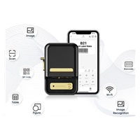 Niimbot Tiskárna štítků B21S Smart, černá + role štítků 210ks