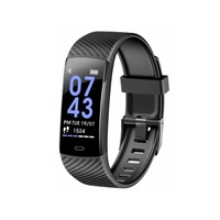 CARNEO Essential HR+ sport