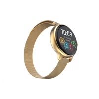 CARNEO Hero mini HR+ gold